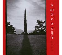 Wouter Vandenabeele - Kabonka