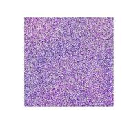 WOW! Poudre à embosser 15ml - The Violetera*