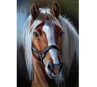 WOWDECOR Diamond Painting Complet, Beau Cheval Animaux Diamant Painting DIY 5D Mosaïque Peinture Numéro Point De Croix