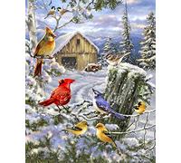 WOWDECOR Diamond Painting Complet, Cardinaux Oiseau Maison Neige Paysage Diamant Painting DIY 5D Mosaïque Peinture Numéro Point De Croix