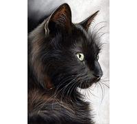 WOWDECOR Diamond Painting Complet, Chat Noir Animaux Diamant Painting DIY 5D Mosaïque Peinture Numéro Point De Croix