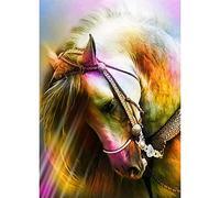 WOWDECOR Diamond Painting Complet, Coloré Cheval Animaux Diamant Painting DIY 5D Mosaïque Peinture Numéro Point De Croix