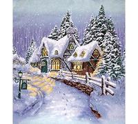 WOWDECOR Diamond Painting Complet, Cottage L'hiver La Neige Paysage Diamant Painting DIY 5D Mosaïque Peinture Numéro Point De Croix