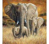 WOWDECOR Diamond Painting Complet, Éléphant Famille Animaux Sauvage Diamant Painting DIY 5D Mosaïque Peinture Numéro Point De Croix