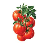 WOWDECOR Diamond Painting Complet, Fruit De Beauté Tomate Rouge Diamant Painting DIY 5D Mosaïque Peinture Numéro Point De Croix