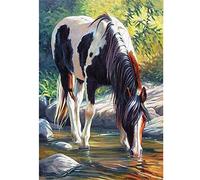 WOWDECOR Diamond Painting Strass Complet Cheval Animaux Ruisseau Bricolage, DIY 5D Broderie Diamant Peinture Diamant Mosaique