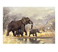 WOWDECOR Diamond Painting Strass Complet Éléphant Famille Animaux Jungle Bricolage, DIY 5D Broderie Diamant Peinture Diamant Mosaique