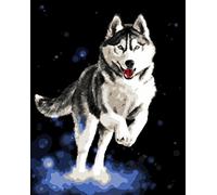 WOWDECOR Kit de peinture par numéro, motif chien husky 40,6 x 50,8 cm (sans cadre)
