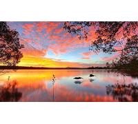 WOWDECOR Kits de peinture par numéros pour adultes et enfants, peinture par numéros - coucher de soleil, mer, oiseaux d'amour, paysage, 40,6 x 50,8 cm (sans cadre)