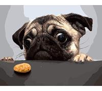 WOWDECOR Peinture Numéro Adulte Enfant, Charmant Chien Biscuits DIY Peinture par numero, Paint by Numbers