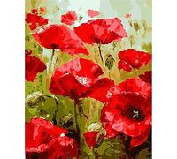 WOWDECOR Peinture Numéro Adulte Enfant, Rouge Coquelicot Fleurs DIY Peinture par numero, Paint by Numbers