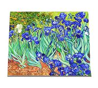 WOWDECOR Peinture Numéro Adulte Enfant, Van Gogh Iris Fleurs DIY Peinture par Numero, Paint by Numbers