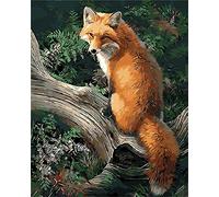 WOWDECOR Peinture par numéros pour adultes enfants filles renard sur l'arbre 40 x 50 cm Peinture à l'huile pré-imprimée (avec cadre)