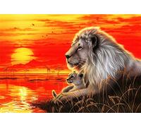 WOWDECOR Peinture par numéros pour adultes enfants filles Roi Lion coucher de soleil mer 40 x 50 cm Peinture à l'huile sur toile pré-imprimée (sans cadre)