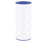 Wowreed Filtre de Piscine remplace Unicel C-9441, PA150S, CS150e, SwimClear C150S, CX150XRE, 1 Paquet