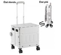WOZWE Petite remorque pliable, chariot de courses portable pour la maison. Pour camping en plein air, courses au supermarché