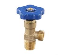 WP-15 pour vanne de bouteille de gaz argon en cuivre - Valve de sécurité pour 20 MPa pour pression - Vanne d'arrêt pour soudure pour WIG MAG - Valve de gaz de protection robuste avec poignée en T