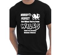 WPDJOCJH Nobody's Perfect But When You're from Wales You're Pretty Damn Close Mens T-Shirt Black XXL