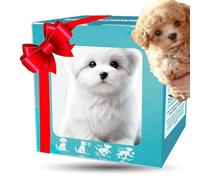 WPDUIODF Chien Robot Intelligent Et Réaliste, Évolutif Et Réaliste, Qui Se Comporte comme Un Vrai Chien. Peluches Interactives for Adultes, Marche, Aboie Et Remue La Queue.(3)
