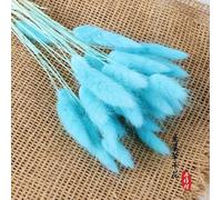 WPKD BLUEIY - 30 Pièces de Fleur Séchée en Queue de Lapin, 40-45 Cm, Herbe Séchée en Queue de Lapin Colorée pour Maison et Jardin, Mariage (Sky Blue)