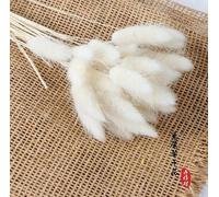 WPKD BLUEIY 30 Pièces de Fleurs Séchées en Queue de Lapin, 40-45 Cm Herbe Séchée en Queue de Lapin Colorée Fleur d'herbe en Queue de Lapin pour Maison L'arrangement Jardin Décoration Mariage (White)