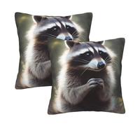 WPUTY Lot de 2 housses de coussin en fourrure avec imprimé raton laveur mignon - 40 x 40 cm - Avec décoration moderne - Pour canapé, lit, bureau