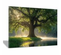 WQBQKKX Arbre de vie coloré Impression sur toile Lac naturel Tableau Affiche Murale ImpriméS Pour Salle Bain Chambre Coucher(Vert 64)-30x45cm Encadrée