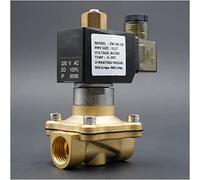 WQGQPXOB Électrovanne en Laiton normalement Ouverte, 1/4 3/8 1/2 3/4 Ih, AC220V DC24V, Joint EPDM VITON, résistant aux Hautes températures, utile(Silver,3/4Inch)