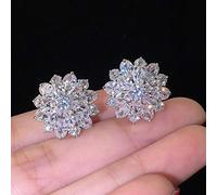 WQHPLMD 56 Styles Sterling Silver Wedding Earrings for Women Diamond Stud Bridal Jewelry Gift),additionalWeblabs:(Pax_Checkout_Buy_Now_GC_Tango_1121297":"