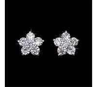 WQHPLMD 56 Styles Sterling Silver Wedding Earrings for Women Diamond Stud Bridal Jewelry Gift),additionalWeblabs:(Pax_Checkout_Buy_Now_GC_Tango_1121297":"
