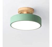 WQHPLMD Bright Green Pink Gray White Ceiling Lamp - Semi-Flush Mount Bathroom Living Room Light Dimmable LED Light Fixture