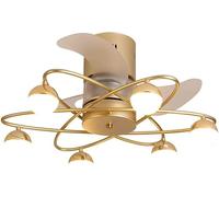WQHPLMD Ceiling Fan Light Remote Control Dimmable LED Lamp for Bedroom Office Gold Black Industrial Caged Ceiling Fan with Light Flush Mount, 6 Speed, White Fan Light for Living Room Kitchen