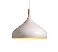 WQHPLMD Restaurant Chandelier loft Chandelier Pendant Light e27 Base 1 Light LED Ceiling Light Fixture Dining Room Lamp Creative Hanging Lamp Dining Room Lighting Fixture