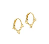 WQHPLMD Sterling Silver Hoop Earrings for Women Small Piercing Earring Earings Jewelry Gift Pendientes),additionalWeblabs:(Pax_Checkout_Buy_Now_GC_Tango_1121297":"