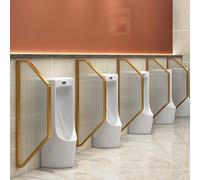 WQPMNYG Cloison de séparation Murale en Verre trempé pour urinoir avec Cadre métallique - Séparateur de confidentialité Durable pour Toilettes publiques dans Les écoles, Les centres commer