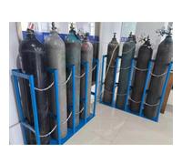 WQPMNYG Support Robuste pour Bouteilles de gaz, à Fixer au Sol ou au Mur ; Support Portable pour Bouteilles d'oxygène, idéal pour Les ateliers et Les Camping-Cars ; Support de Bouteille Fixe et dura
