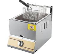 WQZzjm Friteuse à gaz 10 L/20 L, Professionnelle, avec Couvercle et Panier, pour Cuisine de Restaurant (10 L + 1 Panier à Frites)