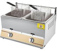WQZzjm Friteuse à gaz 10 L/20 L, Professionnelle, avec Couvercle, pour comptoir, pour Poulet, Frites, Restaurant (10 L + 10 L + 2 paniers à Frites)