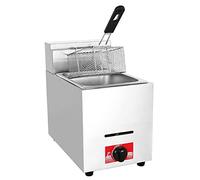 WQZzjm Friteuse à gaz Commerciale 10 L, Panier supérieur en Acier Inoxydable, pour Restaurant, Frites Maison
