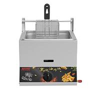WQZzjm Friteuse à gaz Professionnelle de comptoir avec Couvercle, cuisinière d'extérieur en Acier Inoxydable, friteuse à Poulet et Frites pour Restaurant et Cuisine (11 L + 1 Panier Frit)