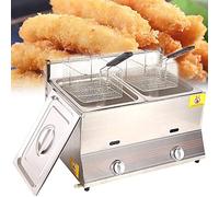 WQZzjm Friteuse Professionnelle à gaz pour comptoir, en Acier Inoxydable, Compatible avec Les Frites, Les Ailes de Poulet et Les Beignets (Double).