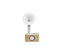 WR-45 White Radio de table FM AUX, Bluetooth rechargeable blanc