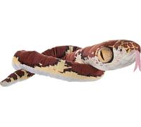 WR Snakesss 137 cm. Imantodes Cenchoa à tête émoussée