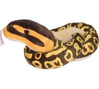 WR Snakesss 137 cm. Python royal