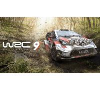 WRC 9 FIA World Rally Championship (PC)