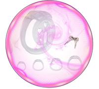 WreGmgg Kit De Cage De RéSistance MâLe, éQuipé De 4 Anneaux De Tailles DifféRentes, Adapté à L'EntraîNement Cyclique - Q (Transparent)