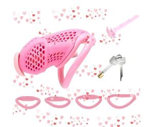 WreGmgg XL Taille Nouveau Abs RéSine De Remise en Forme IntéRieure Rose Cage Respirable Style De Nid d'abeille, avec Quatre Bagues Et CléS RemplaçAbles, Cadeau Original - D14