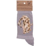 Wrendale - Chaussettes Designs à motif (gris motif chien « Dog Hopeful »)