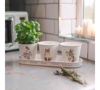 Wrendale Designs By Hannah Dale - Lot de 3 pots à herbes aromatiques et plateau « Woodland »