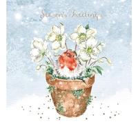 Wrendale Designs by Hannah Dale - Lot de 8 boîtes de cartes de Noël avec inscription « Season's Tweetings »